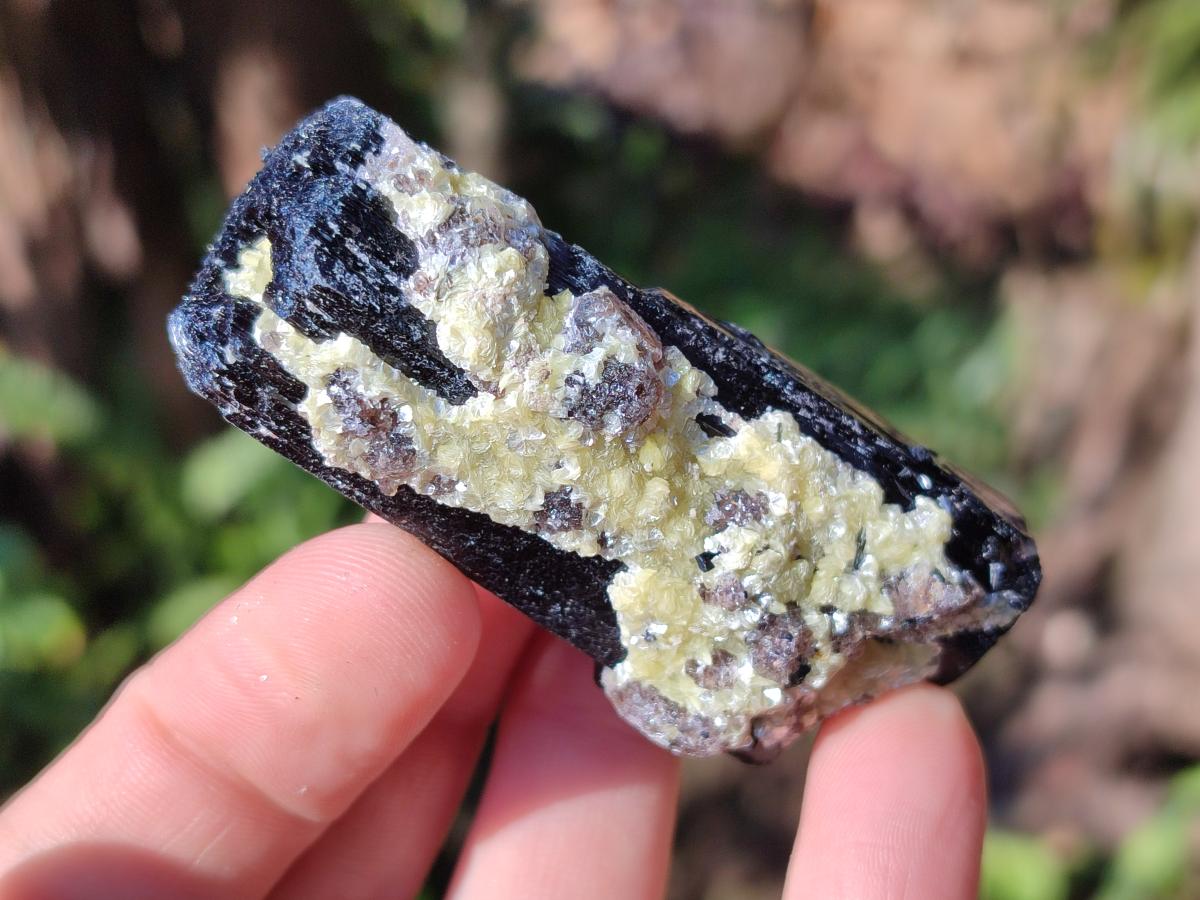 Natural Schorl Black Tourmaline Specimens x 12 From Erongo, Namibia
