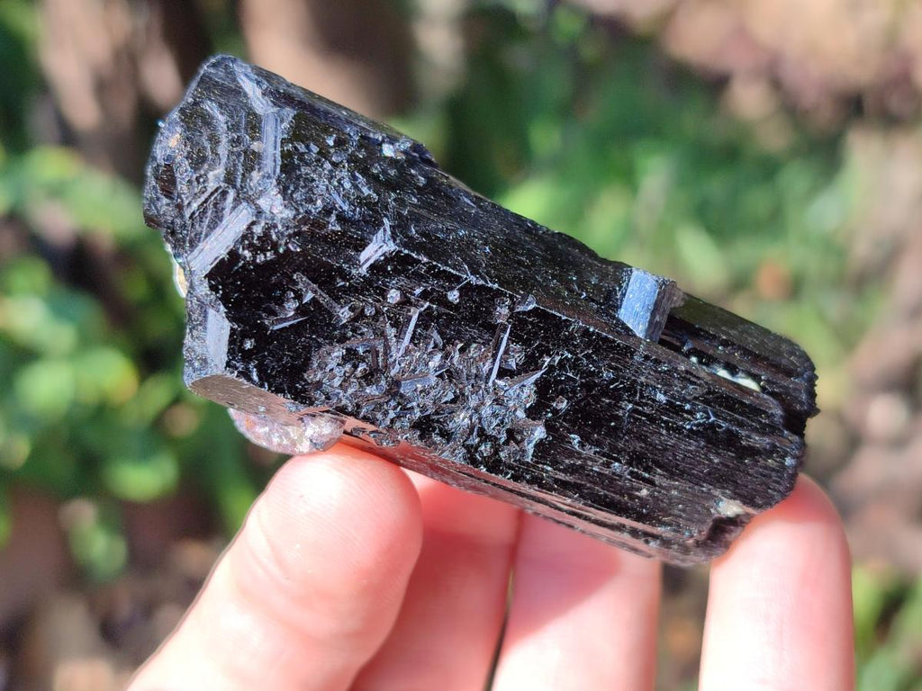 Natural Schorl Black Tourmaline Specimens x 12 From Erongo, Namibia