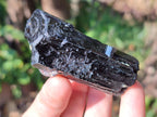 Natural Schorl Black Tourmaline Specimens x 12 From Erongo, Namibia