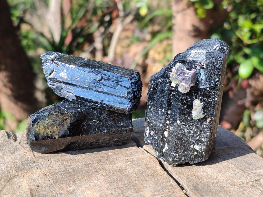 Natural Schorl Black Tourmaline Specimens x 12 From Erongo, Namibia