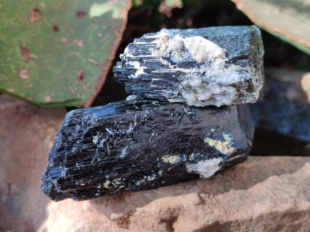 Natural Schorl Black Tourmaline Specimens x 12 From Erongo, Namibia
