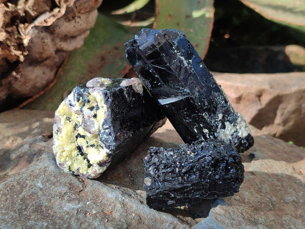 Natural Schorl Black Tourmaline Specimens x 12 From Erongo, Namibia