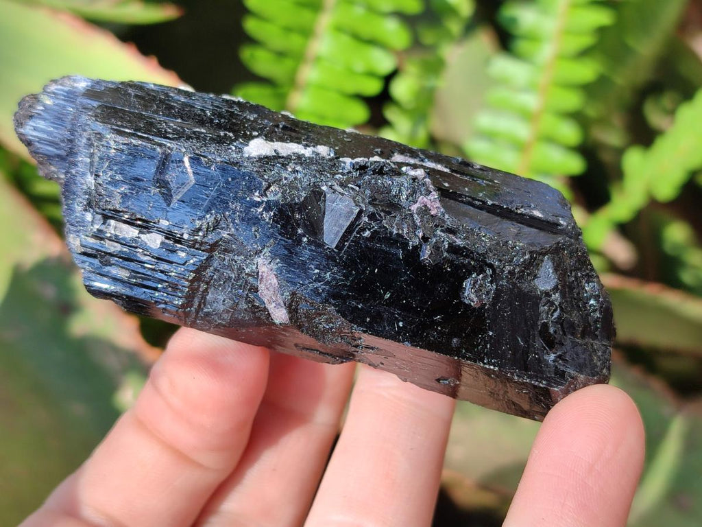 Natural Schorl Black Tourmaline Specimens x 12 From Erongo, Namibia