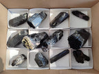 Natural Schorl Black Tourmaline Specimens x 12 From Erongo, Namibia
