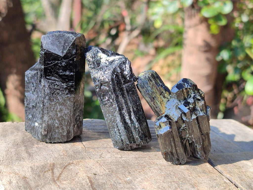 Natural Schorl Black Tourmaline Specimens x 12 From Erongo, Namibia