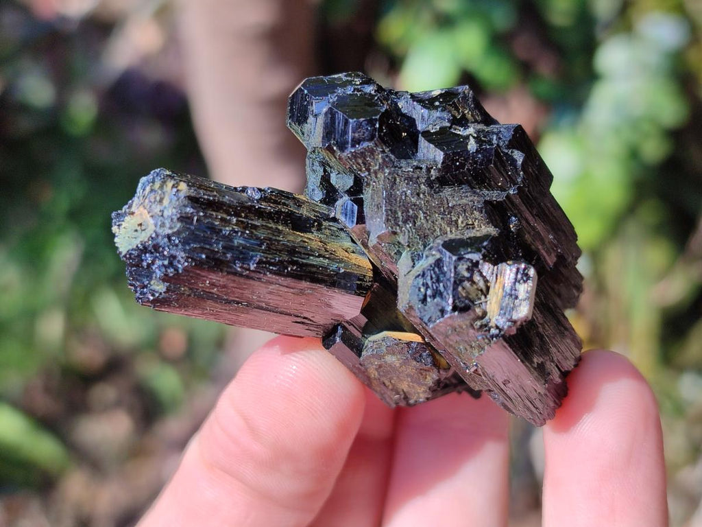 Natural Schorl Black Tourmaline Specimens x 12 From Erongo, Namibia