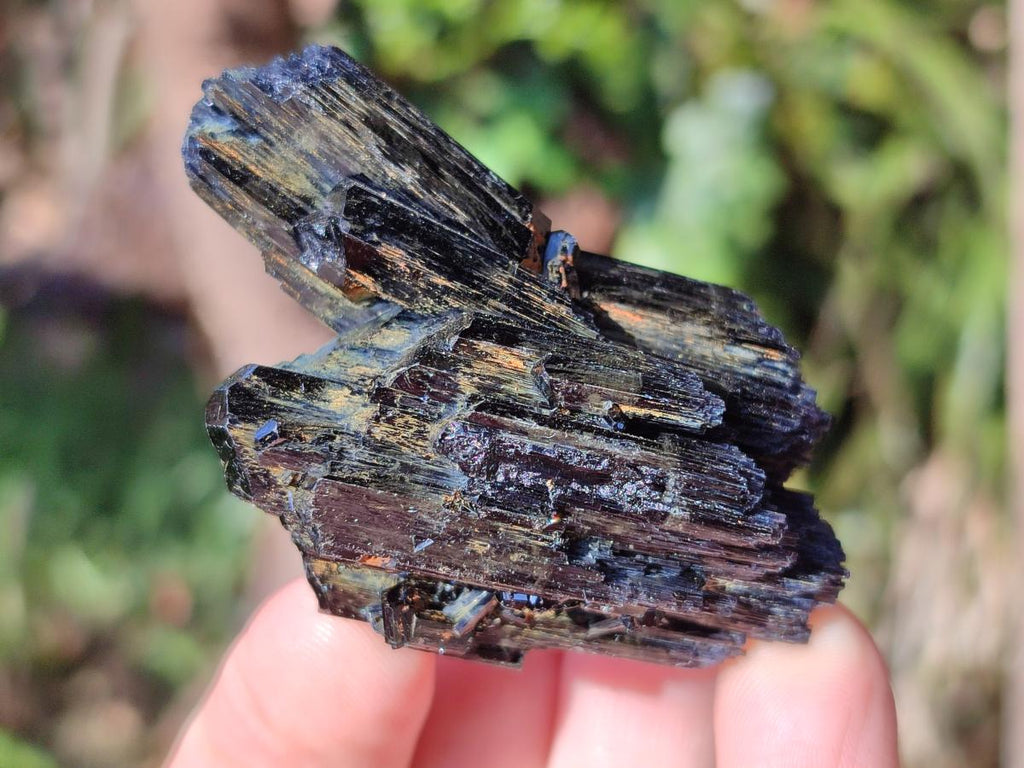 Natural Schorl Black Tourmaline Specimens x 12 From Erongo, Namibia