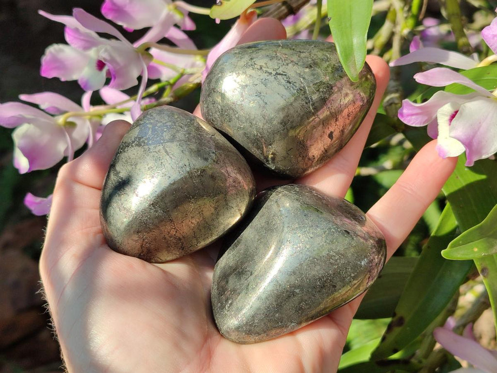 Polished Basalt Pharaoh Stone Free Forms x 7 From Iron Duke Mine, Zimbabwe