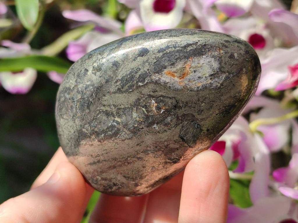 Polished Basalt Pharaoh Stone Free Forms x 7 From Iron Duke Mine, Zimbabwe