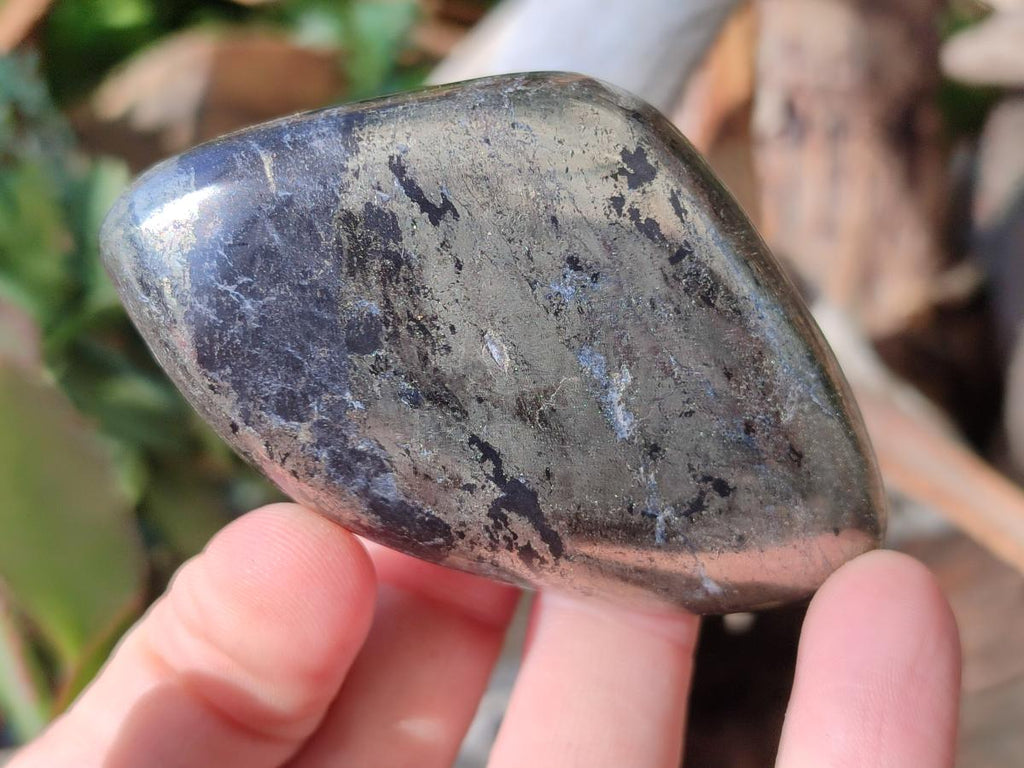 Polished Basalt Pharaoh Stone Free Forms x 7 From Iron Duke Mine, Zimbabwe