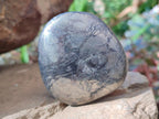 Polished Basalt Pharaoh Stone Free Forms x 7 From Iron Duke Mine, Zimbabwe