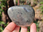 Polished Basalt Pharaoh Stone Free Forms x 7 From Iron Duke Mine, Zimbabwe