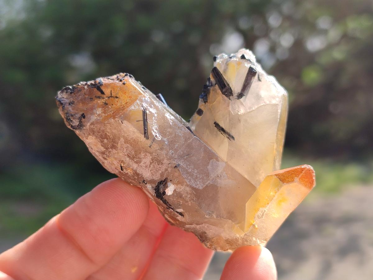 Natural Smokey Quartz Crystal and Cluster Specimens with Associated Minerals x 23 From Erongo, Namibia