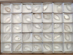Polished Rock Crystal Quartz "Angel Tears" Free Forms x 35 From Madagascar