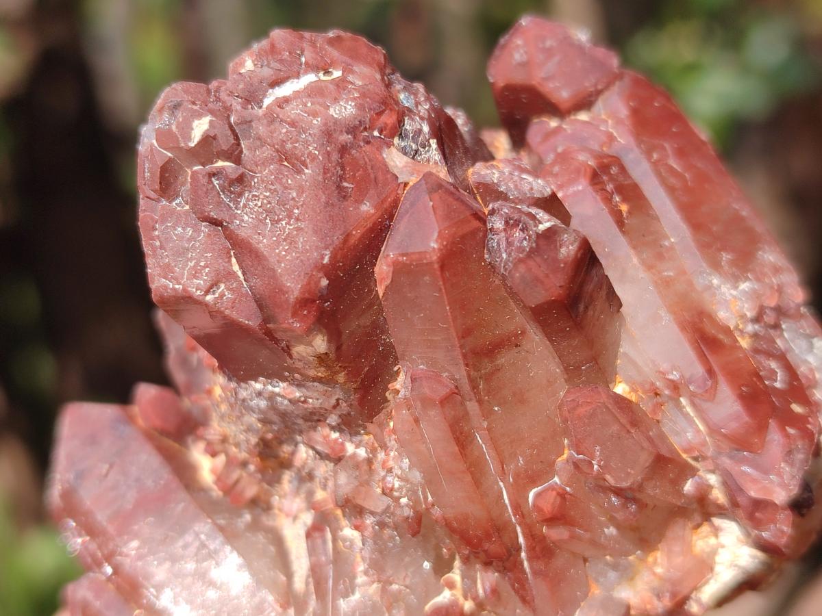 Natural Red Hematoid Quartz Crystals x 13 From Karoi, Zimbabwe