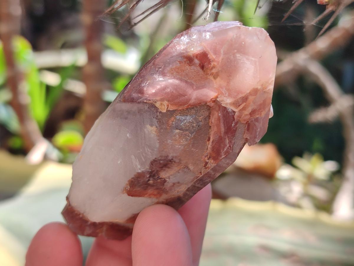 Natural Red Hematoid Quartz Crystals x 13 From Karoi, Zimbabwe