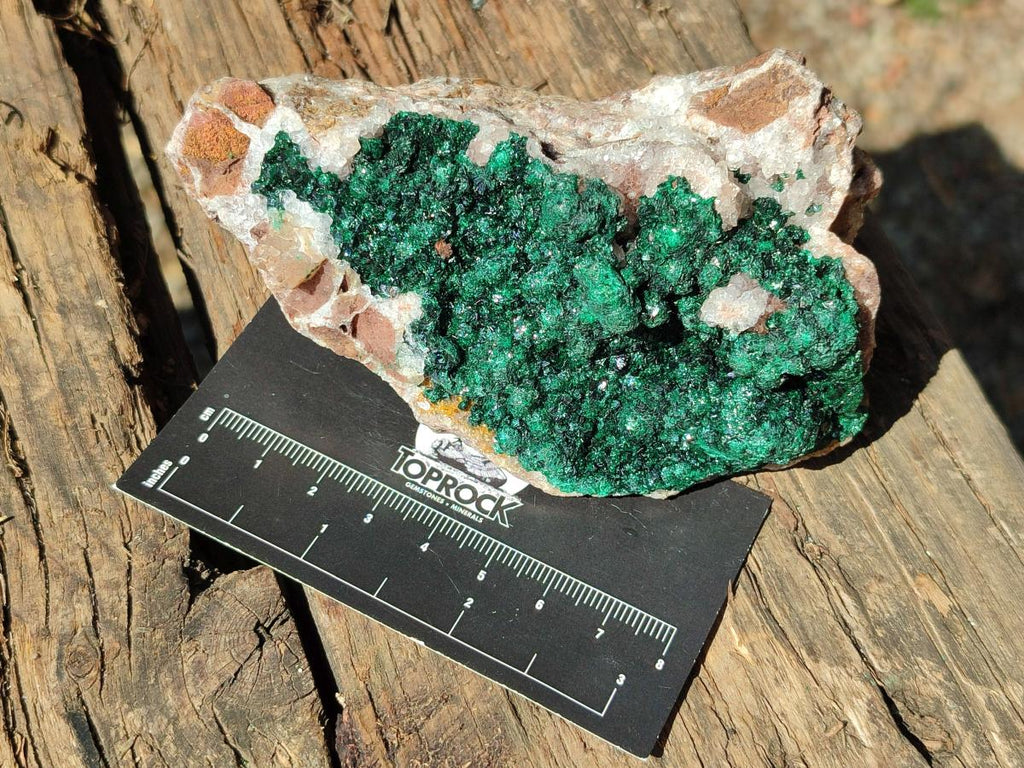 Natural Ball Malachite Specimens Coated with Drusy Quartz on Dolomite x 3 From Mindingi Mine, Kambove, Congo