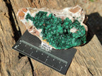 Natural Ball Malachite Specimens Coated with Drusy Quartz on Dolomite x 3 From Mindingi Mine, Kambove, Congo