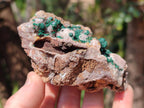 Natural Ball Malachite Specimens Coated with Drusy Quartz on Dolomite x 3 From Mindingi Mine, Kambove, Congo