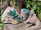 Natural Ball Malachite Specimens Coated with Drusy Quartz on Dolomite x 3 From Mindingi Mine, Kambove, Congo