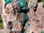Natural Ball Malachite Specimens Coated with Drusy Quartz on Dolomite x 3 From Mindingi Mine, Kambove, Congo