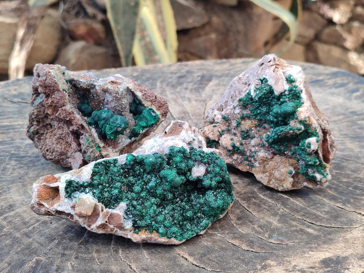 Natural Ball Malachite Specimens Coated with Drusy Quartz on Dolomite x 3 From Mindingi Mine, Kambove, Congo