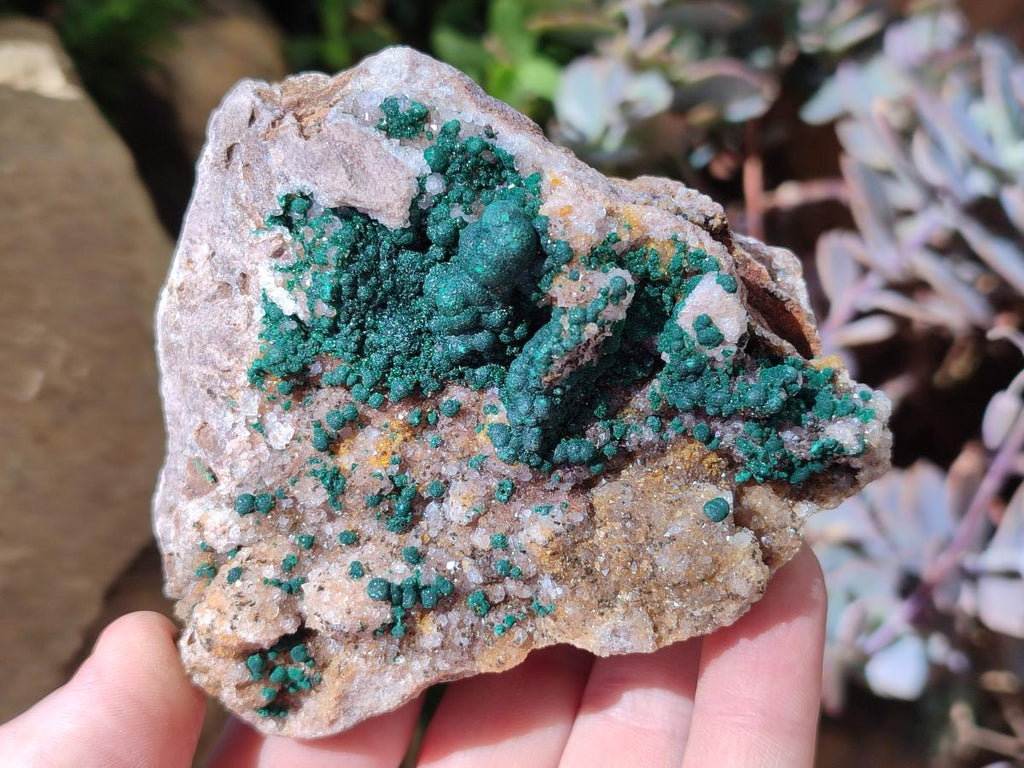 Natural Ball Malachite Specimens Coated with Drusy Quartz on Dolomite x 3 From Mindingi Mine, Kambove, Congo