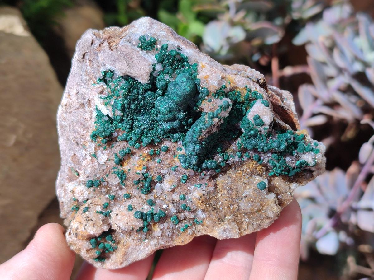 Natural Ball Malachite Specimens Coated with Drusy Quartz on Dolomite x 3 From Mindingi Mine, Kambove, Congo