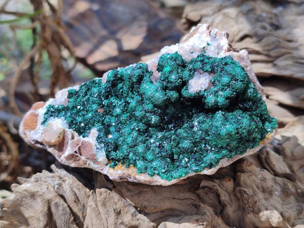 Natural Ball Malachite Specimens Coated with Drusy Quartz on Dolomite x 3 From Mindingi Mine, Kambove, Congo