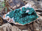 Natural Ball Malachite Specimens Coated with Drusy Quartz on Dolomite x 3 From Mindingi Mine, Kambove, Congo