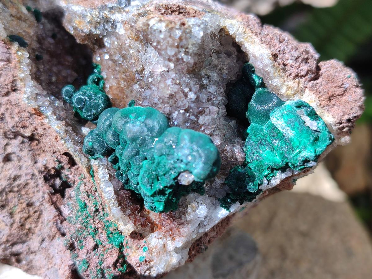 Natural Ball Malachite Specimens Coated with Drusy Quartz on Dolomite x 3 From Mindingi Mine, Kambove, Congo