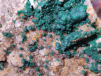 Natural Ball Malachite Specimens Coated with Drusy Quartz on Dolomite x 3 From Mindingi Mine, Kambove, Congo