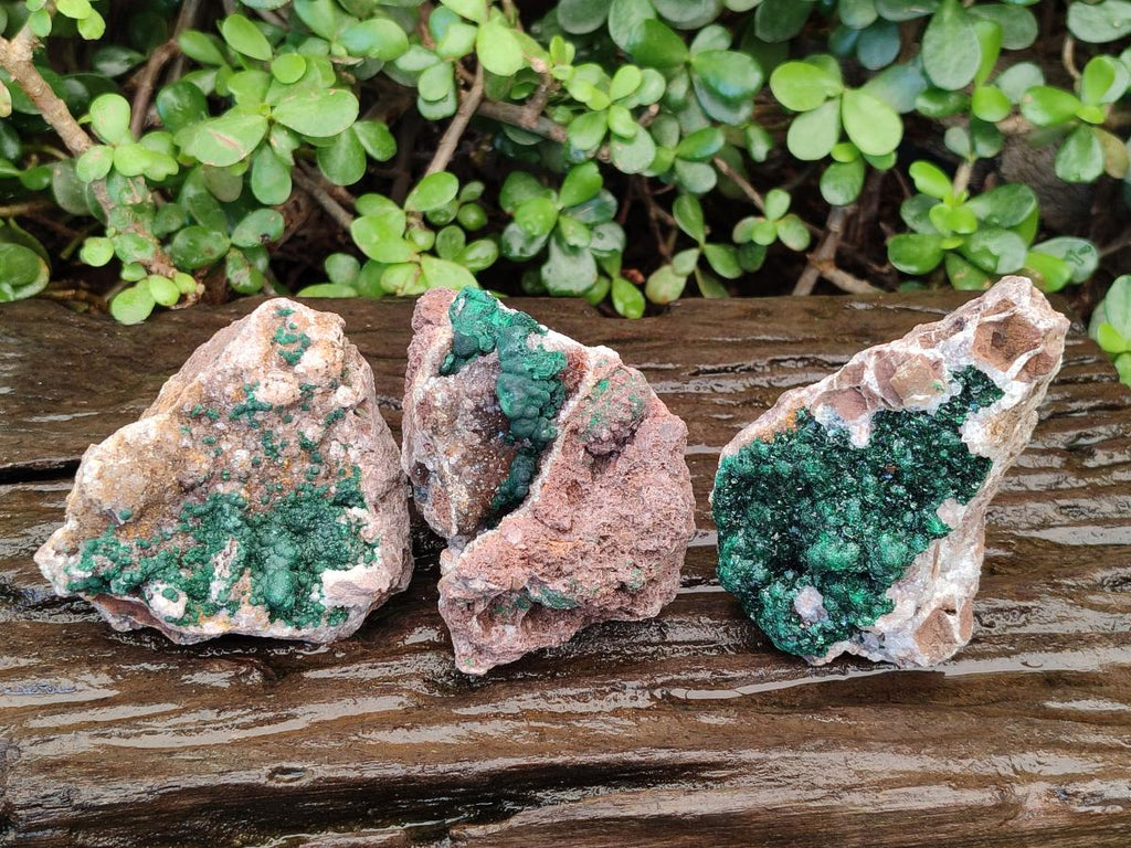 Natural Ball Malachite Specimens Coated with Drusy Quartz on Dolomite x 3 From Mindingi Mine, Kambove, Congo