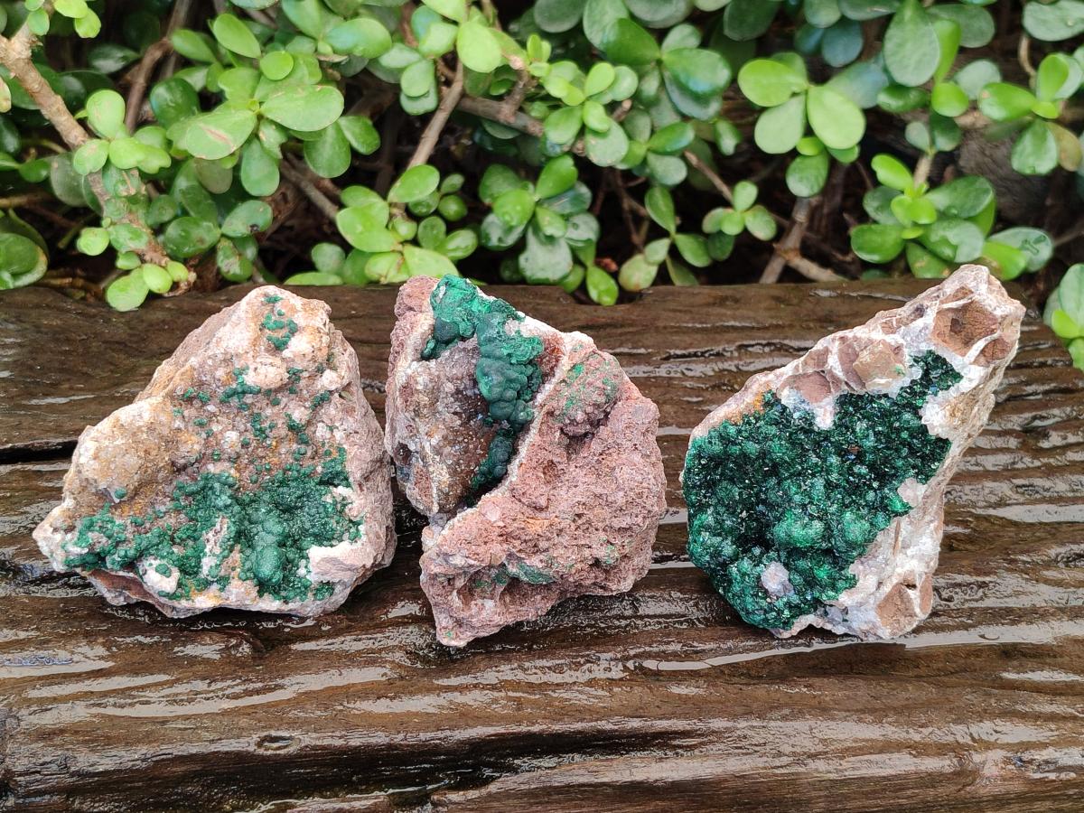 Natural Ball Malachite Specimens Coated with Drusy Quartz on Dolomite x 3 From Mindingi Mine, Kambove, Congo