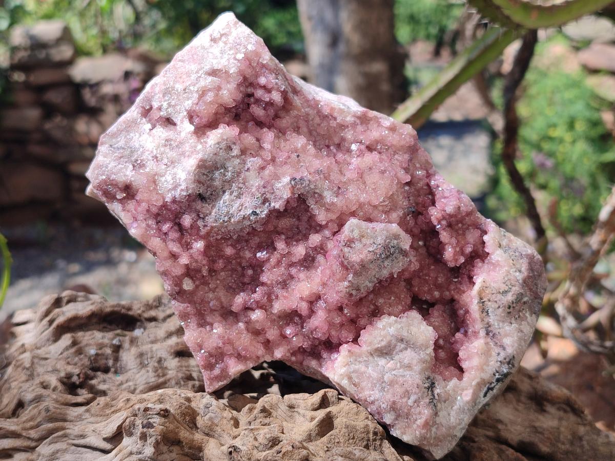 Natural XL Cabinet Size Spherocobaltite Specimen x 1 From Musonoi Mine, Congo