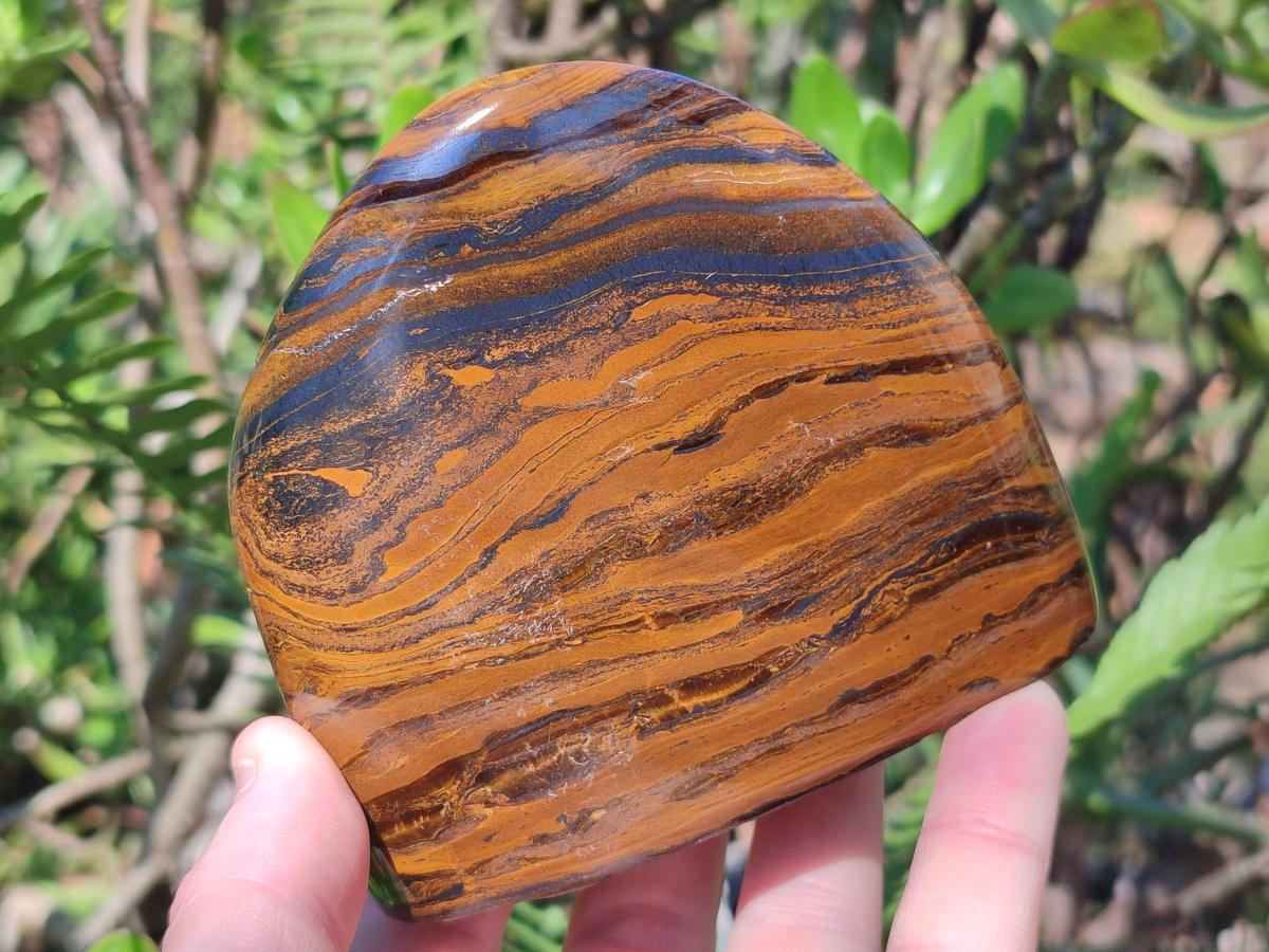 Polished Golden Tigers Eye Standing Display Pieces x 2 From Prieska, South Africa