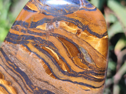 Polished Golden Tigers Eye Standing Display Pieces x 2 From Prieska, South Africa