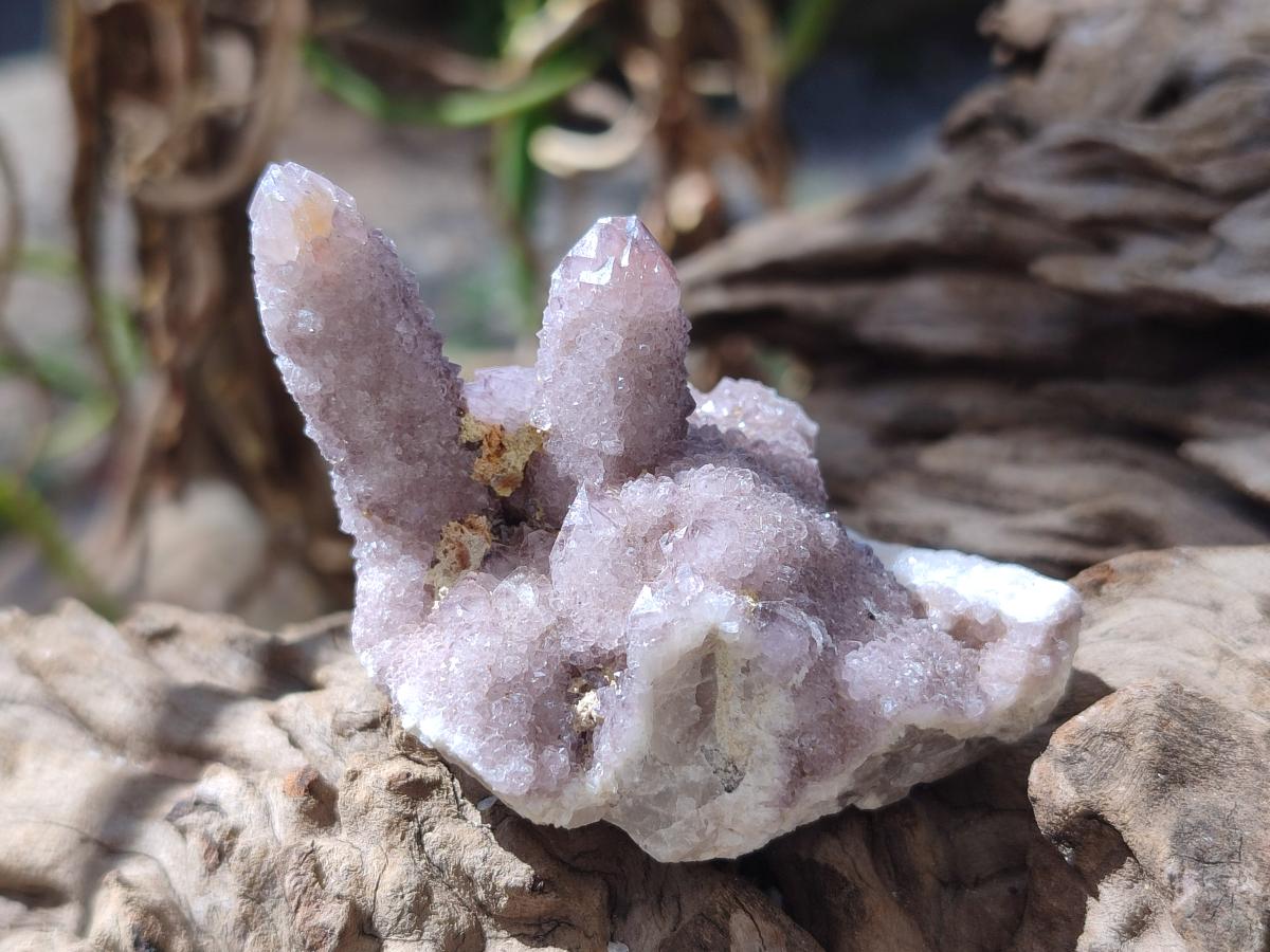 Natural Spirit Amethyst Crystals and Clusters x 20 From Boekenhouthoek, South Africa