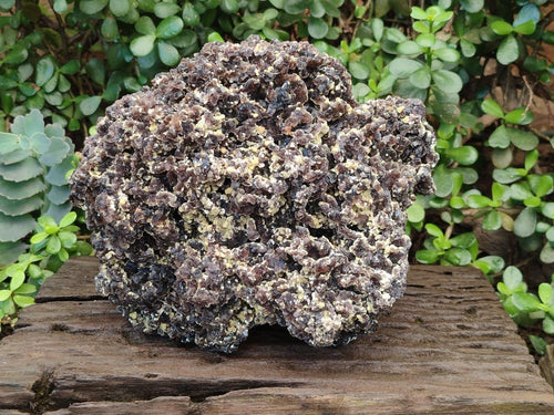 Natural XL Smokey Fluorite Specimens with Yellow Muscovite Mica x 1 From Erongo, Namibia