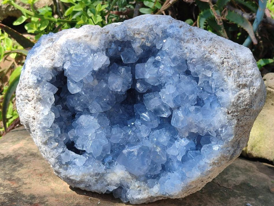 Natural XL Blue Celestite Geode Specimen x 1 From Sakoany, Madagascar