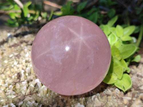 Polished Gemmy Star Rose Quartz Spheres x 2 From Madagascar