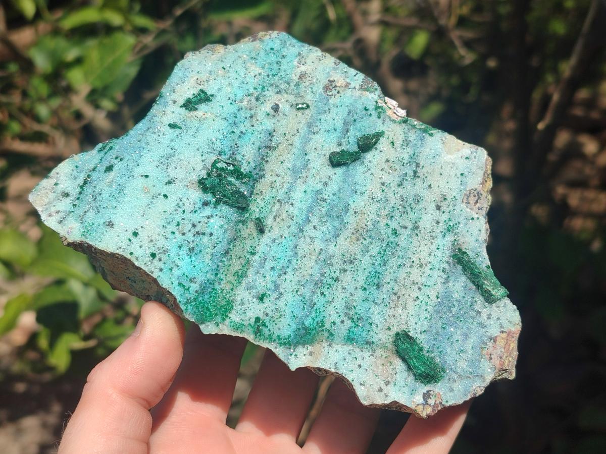 Natural Drusy Chrysocolla Specimens with Malachite on Dolomite x 2 From Lupoto Mine, Congo