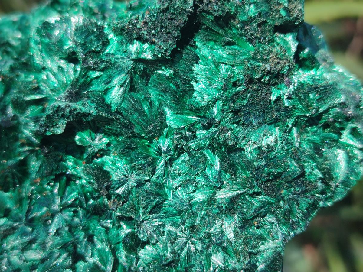 Natural Large Silky Malachite Specimen x 1 From Kasompe, Congo