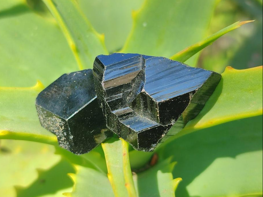 Natural Schorl Black Tourmaline Crystals x 70 From Erongo, Namibia