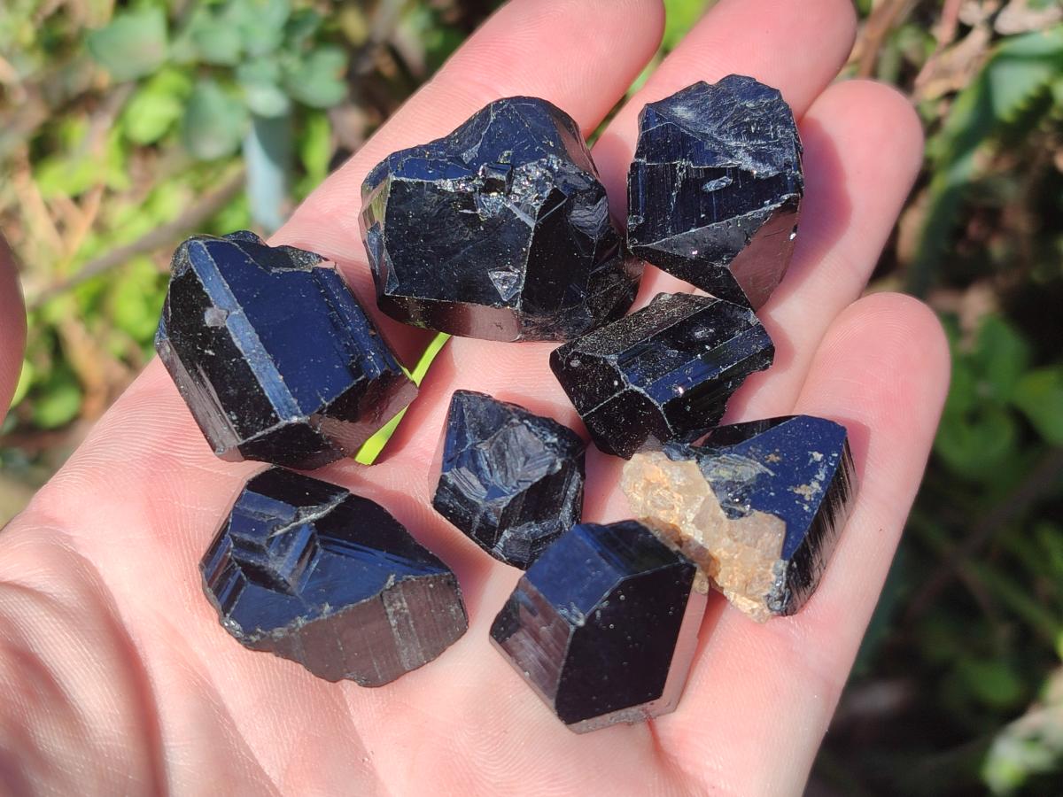 Natural Schorl Black Tourmaline Crystals x 70 From Erongo, Namibia