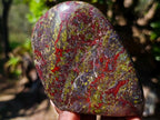 Polished Bastite Dragonsblood Stone Standing Display Pieces x 2 From Tshipise, South Africa