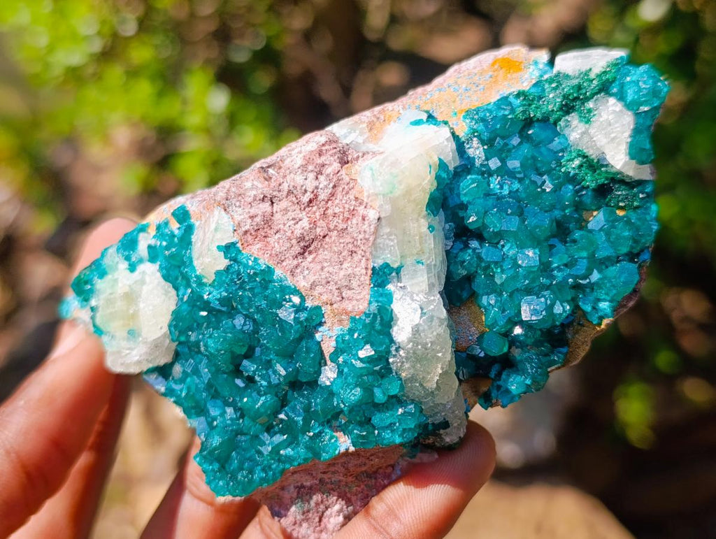 Natural Dioptase Specimens on Dolomite x 3 From Mashamba East Mine, Congo