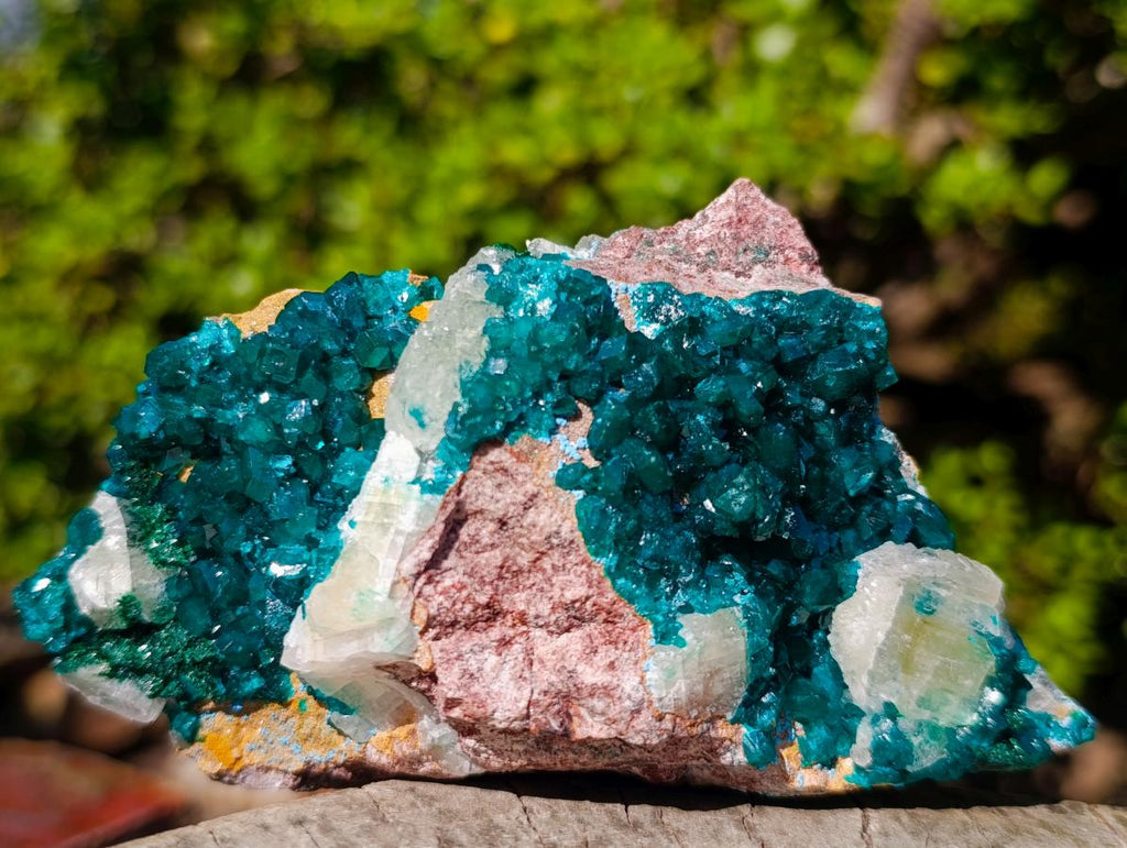 Natural Dioptase Specimens on Dolomite x 3 From Mashamba East Mine, Congo