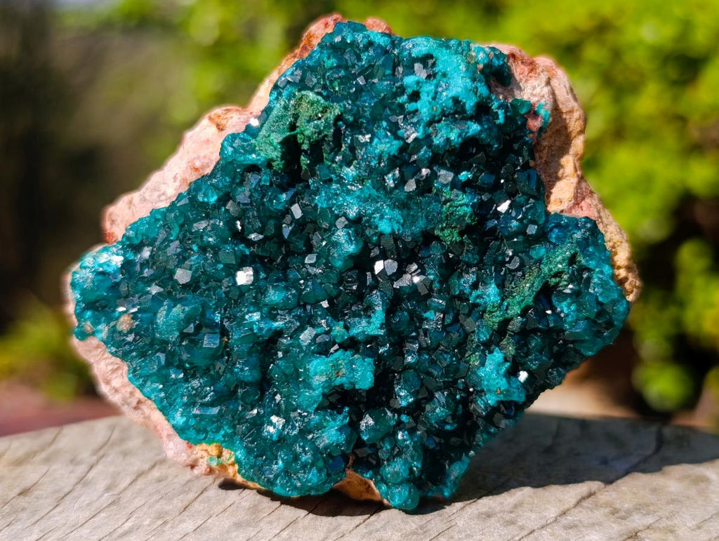 Natural Dioptase Specimens on Dolomite x 3 From Mashamba East Mine, Congo