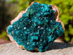 Natural Dioptase Specimens on Dolomite x 3 From Mashamba East Mine, Congo